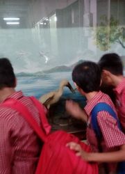 IMG_20160926_104901