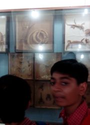 IMG_20160926_105126