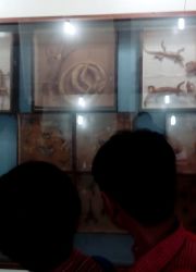 IMG_20160926_105130